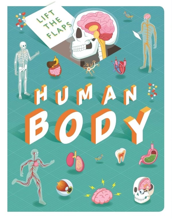 Human Body Lift The Flaps