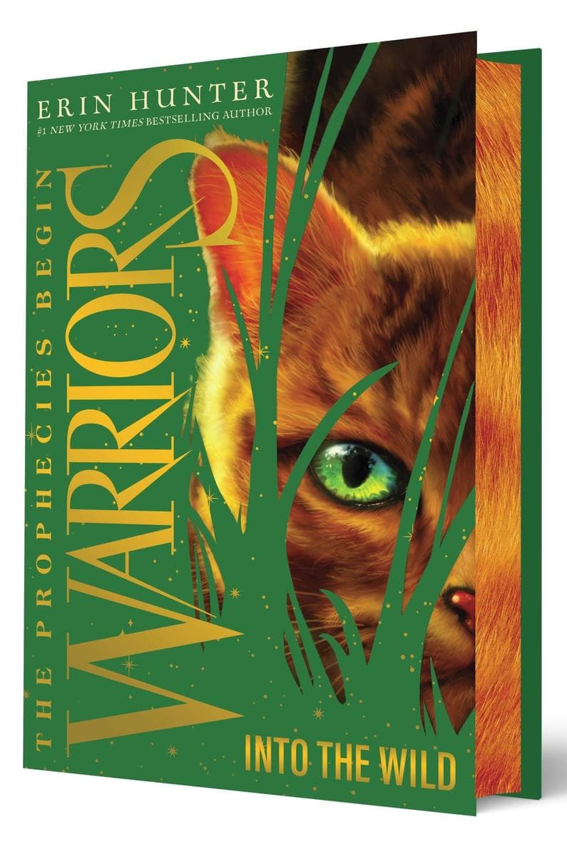 Warriors: Into the Wild (The Prophecies Begin, #1)
